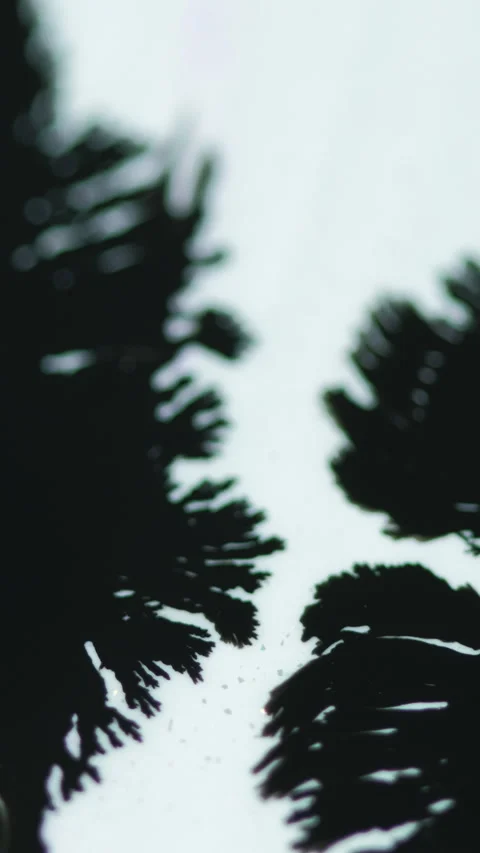 Vertical Ink spatter paint drop black fluid splash white Video stock 276838008