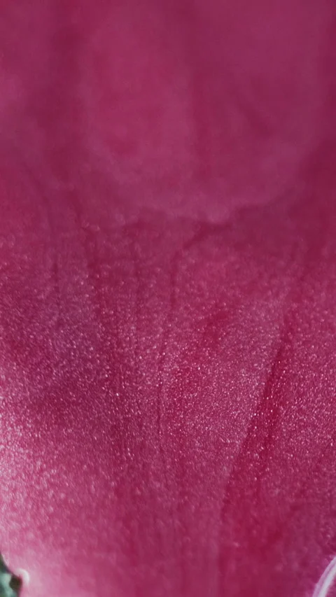 Vertical ink spill glitter fluid pink paint drop Stock Footage 292732640