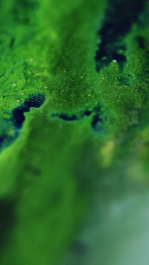 Vertical ink spill glitter fluid drip green paint Stock Footage 293239208