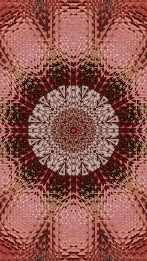 Intro Video Template Stock Footage ~ Royalty Free Stock Videos | Page 3