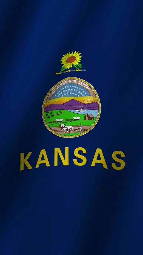 Vertical Kansas Flag Animated 4k video Stock Footage 296780596