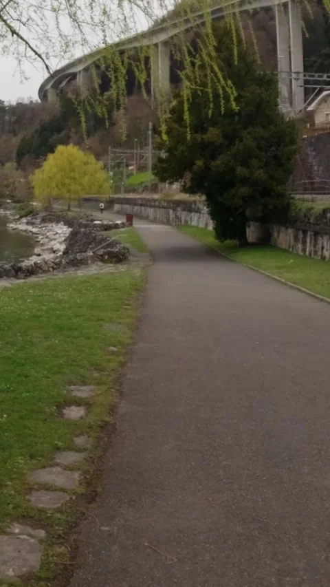 Vertical lakeside path perspective peaceful walk Switzerland Stock Footage 330957170