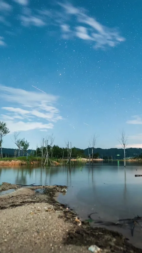 Vertical Lakeside Starry Night Galaxy Reflection Motion Timelapse Stock Footage 327676398