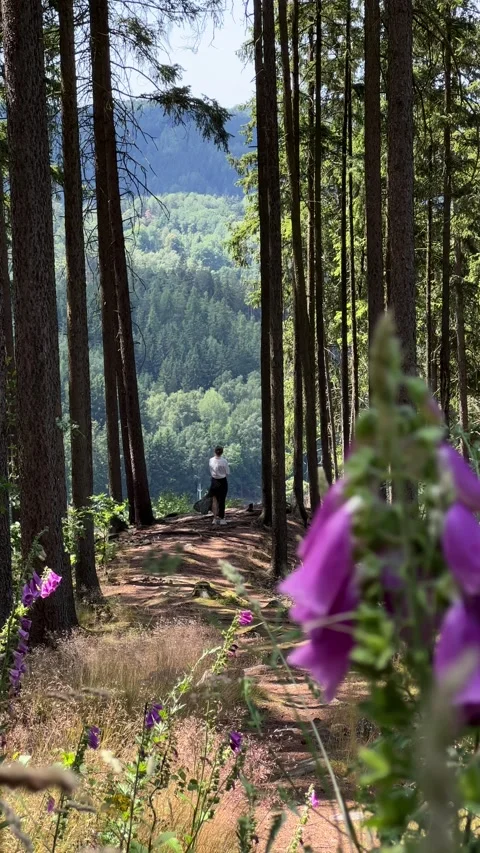 Vertical landscape of forest and hills with woman standing at edge of hill Stock Footage 246972538