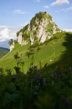 Vertical landscape with isolated rock on top of green mountain pass. 스톡 사진
