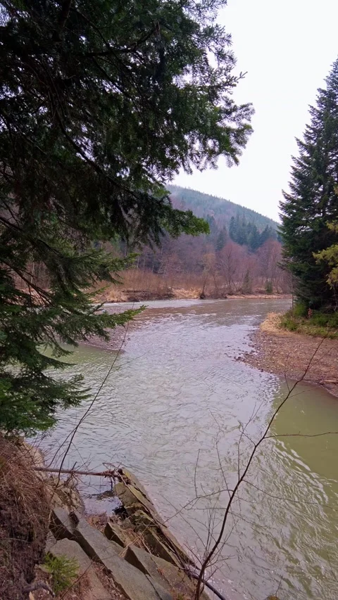 Vertical landscape of a mountain river Video stock 333901802