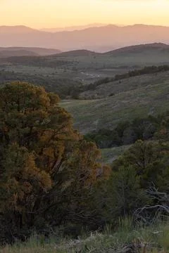 Vertical landscape of Pine Valley Mt. Utah wilderness at sunset Stock Photos