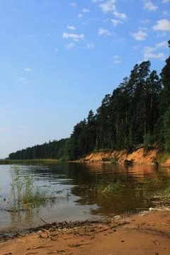 Vertical landscape of a sandy shore with pine trees on lake Seliger Stockfoto's