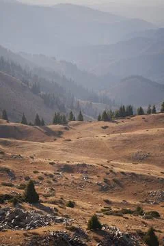 Vertical landscape with a trail going through a mountain valley. Stock Photos