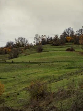 Vertical landscape view Stock Photos