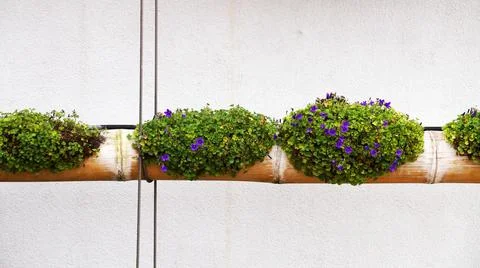 Vertical landscaping, flowers in long pots made of natural bamboo on the faca Stock Photos