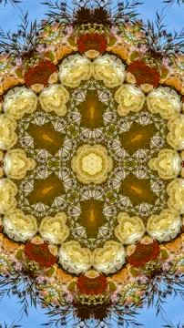 Vertical Large hexagonal flowers in circular arrangement at wedding in Foto stock