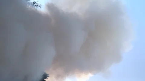 Vertical Large smoke from bonfire. Vídeos de archivo 115414361