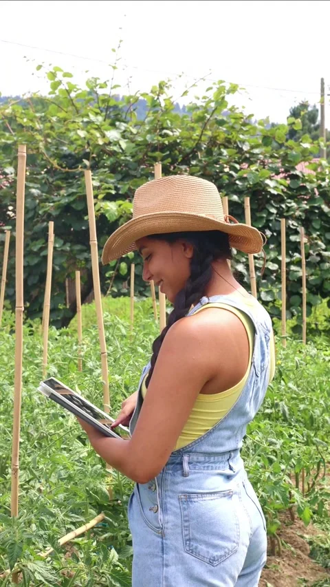 Vertical Latin farmer woman using tablet in cultivated field Stock Footage 312980153