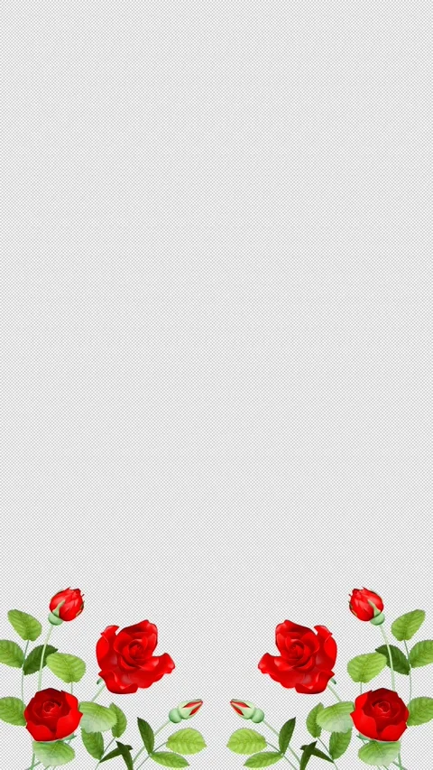 Vertical layout - Rose Blooming Bottom Frame Animation, Alpha channel file Stock Footage 328969804