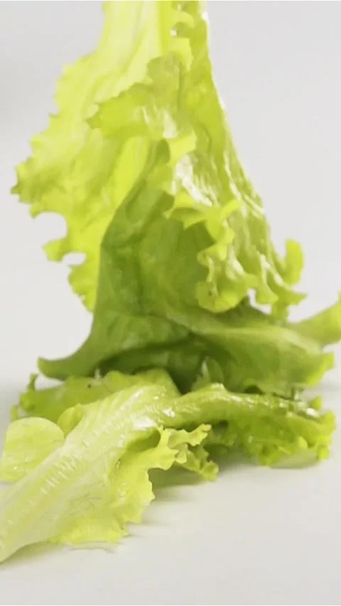 Vertical of Lettuce fall on surface multiple times Stock Footage 305516862