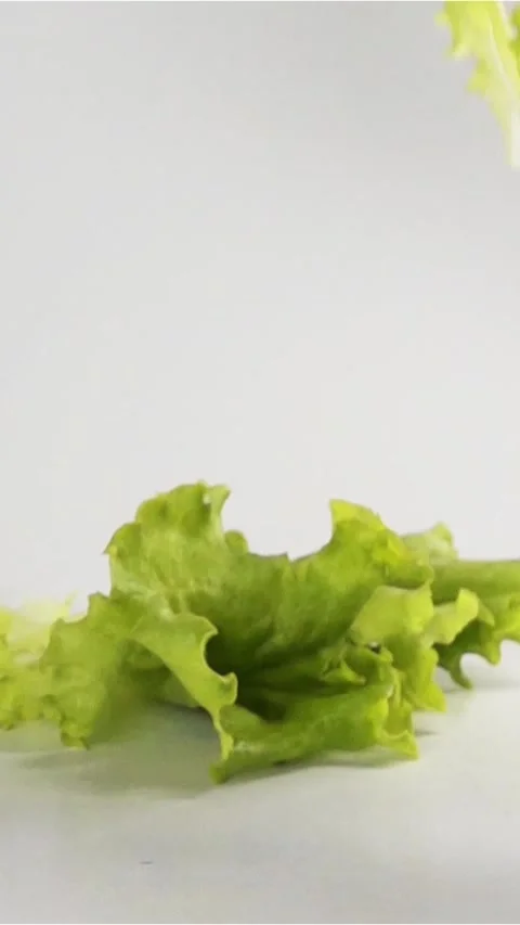 Vertical of Lettuce falls on white gray surface Stock Footage 305516958