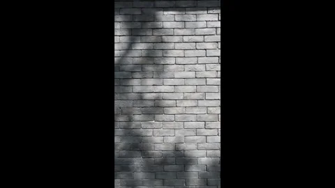 Vertical light gray brick wall texture with natural tree shadow across surface. Stock Footage 330149880