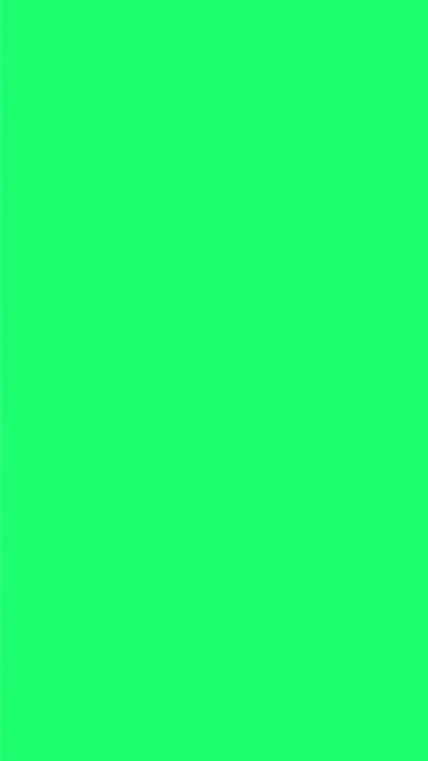 Vertical Light Streak Swipe Transition White Flash Green Screen Reels Stories Stock Footage 338294337