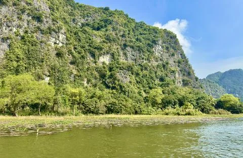 Vertical limestone cliffs covered with lush green vegetation. Stock Photos
