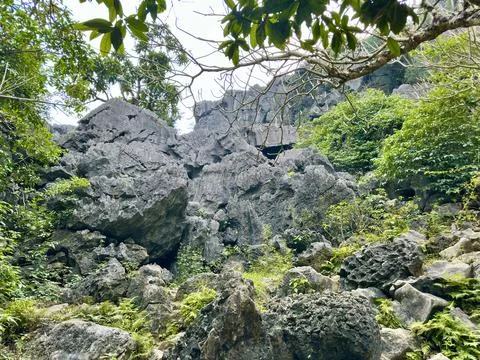 Vertical limestone cliffs covered in moss behind the ancient Bich Dong Pagoda Stock Photos