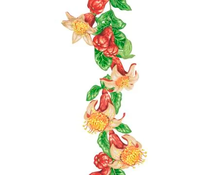 Vertical line seamless pattern with pomegranate in vector Stock Illustration