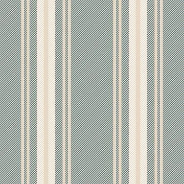 Vertical lines stripe pattern. Vector stripes background fabric texture. Geom Stock Illustration