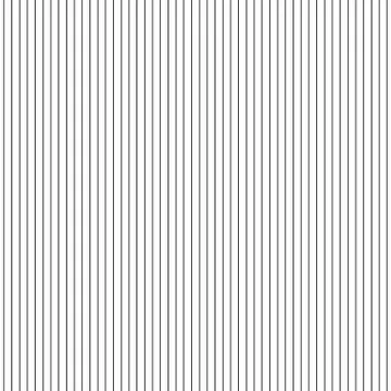 Vertical lines on white background. Abstract pattern with vertical lines. Vec Illustrazione stock