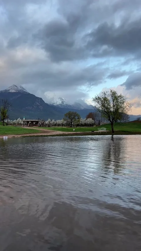 Vertical Lone Tree By Lake Under Jade Dragon Snow Mountain 動画素材 334016792