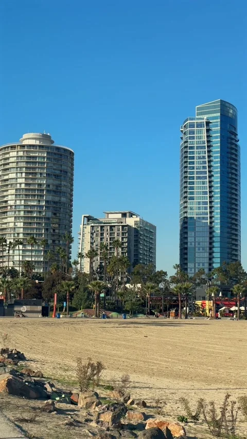 Vertical Long Beach Beachfront Towers and Palm Trees Nov. 30 2025 스톡 동영상 346186835