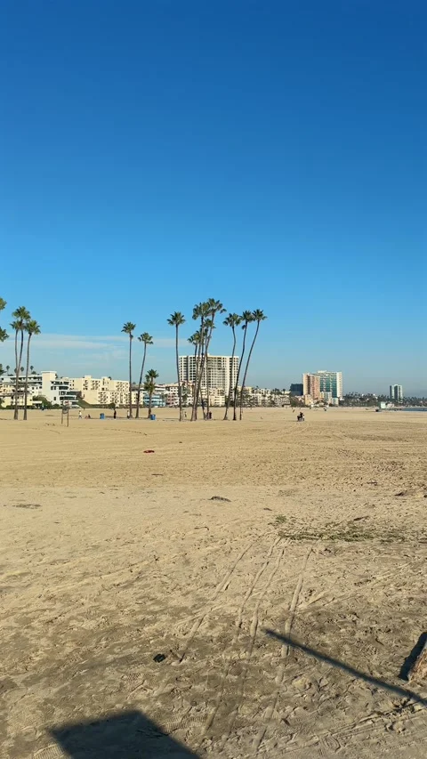 Vertical Long Beach Sandy Beach Palm Trees and City Buildings 스톡 동영상 346186890