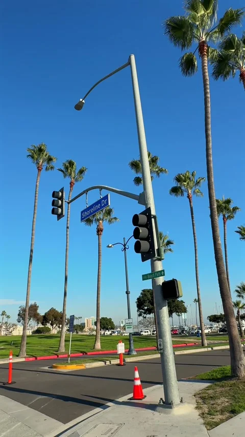 Vertical Long Beach Traffic Lights and Shoreline Drive Palms 스톡 동영상 346186899