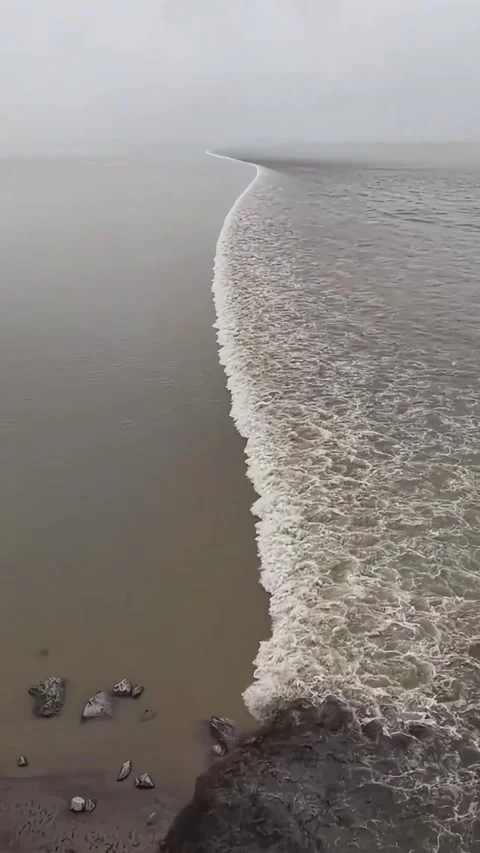 Vertical Long Shot of Silver Dragon Tidal Bore Stock-Footage 333937562