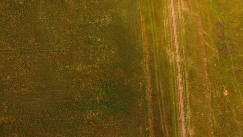 Vertical Look Down on Track Pan Up Color Corrected Stock Footage 98959790