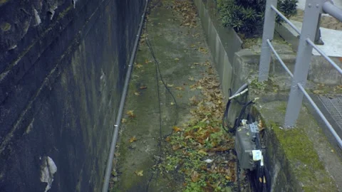 Vertical look up view of an empty trench with moss and green vegetation Stock Footage 204507697
