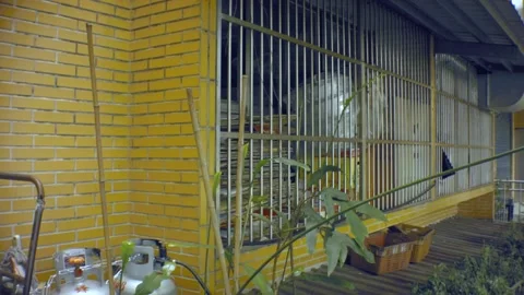 Vertical looking up view from a grudge old gas tank and metal bars fence  Stock Footage 204484101