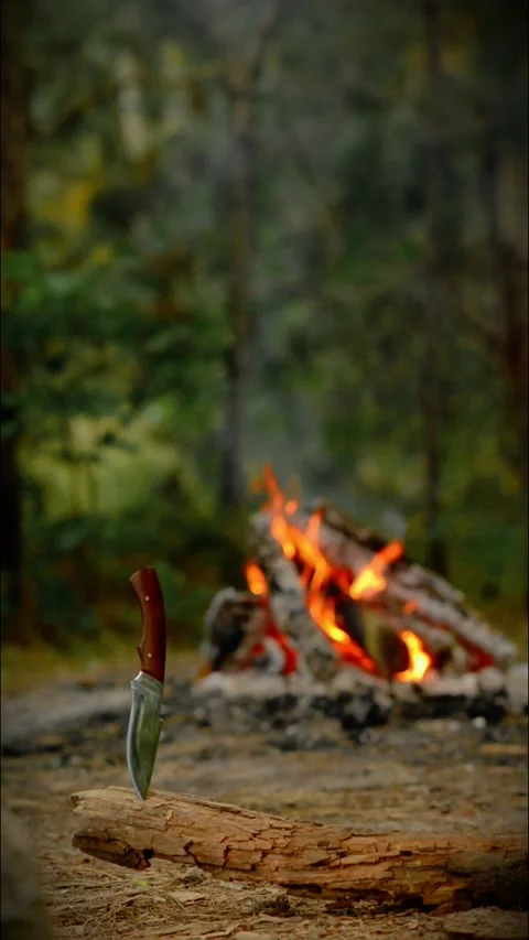 Vertical Loop of Campfire and Bushcraft Knife in Wood Log Video stock 342505347