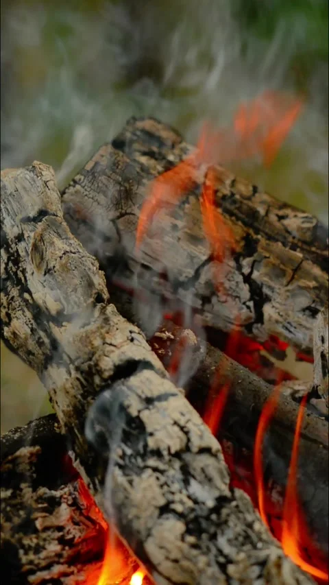 Vertical Loop of Campfire Burning with Real Sound Video stock 342505363