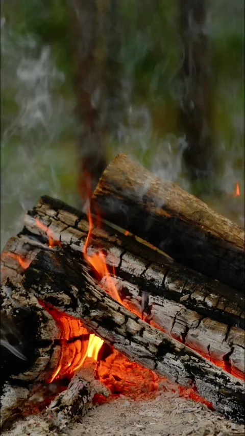 Vertical Loop of Campfire Embers and Flames with Real Sound Video stock 342505542