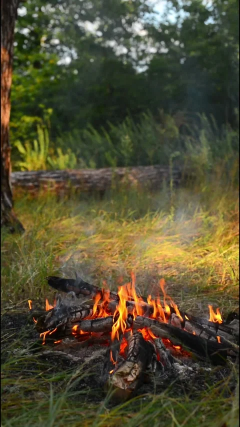 Vertical Loop of Campfire Embers and Flames with Audio Stock Footage 342787964