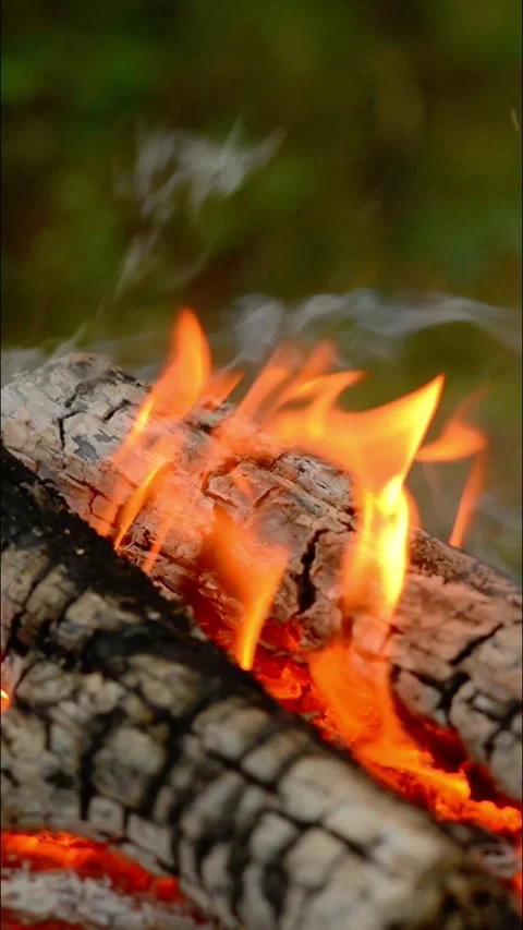 Vertical Loop of Campfire Flames and Smoke 库存影片 342505495