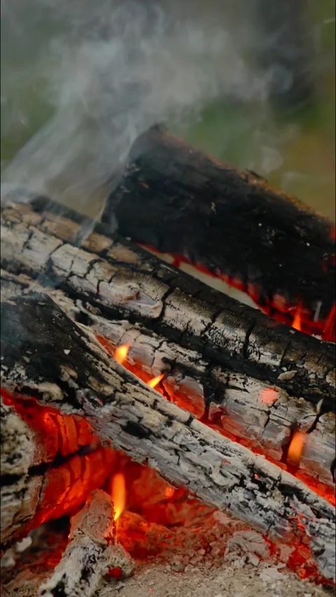 Vertical Loop of Glowing Campfire Coals and Firewood 库存影片 342505545