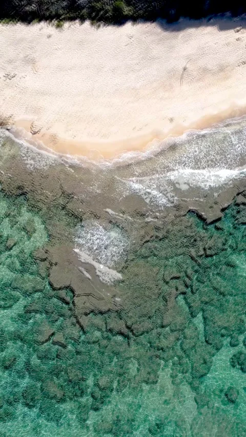 Vertical loopable top down view of a beach in Sardinia Stock Footage 341270741