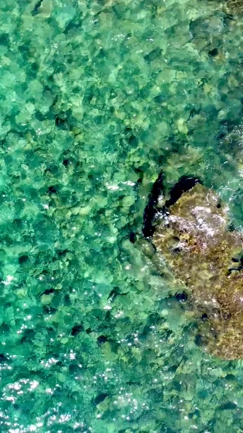 Vertical loopable top down view of a rock in the turquoise sea Stock Footage 342509697