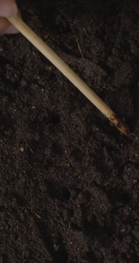 Vertical. Loving mother teaching her child how to plant seeds in rows in Stock Footage 330256706