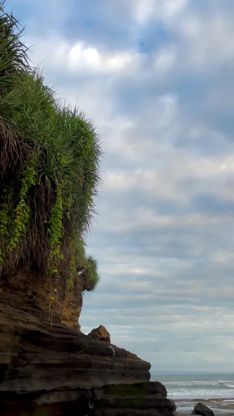 Vertical Low Angle Coastal Cliff with Green Vegetation in Bali Stock Footage 337270272