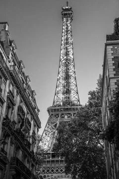 Vertical low angle grayscale shot of the Eiffel  Tower, Paris, France Stock Photos