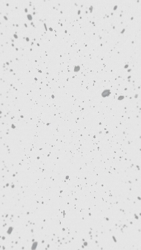 Vertical Low Angle POV Snow Falling Overlay Alpha Channel Stock Footage 342027940