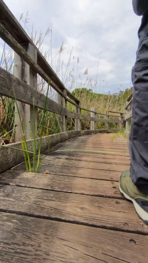 Vertical low angle rear view of walking on wooden boardwalk Stock Footage 332003376