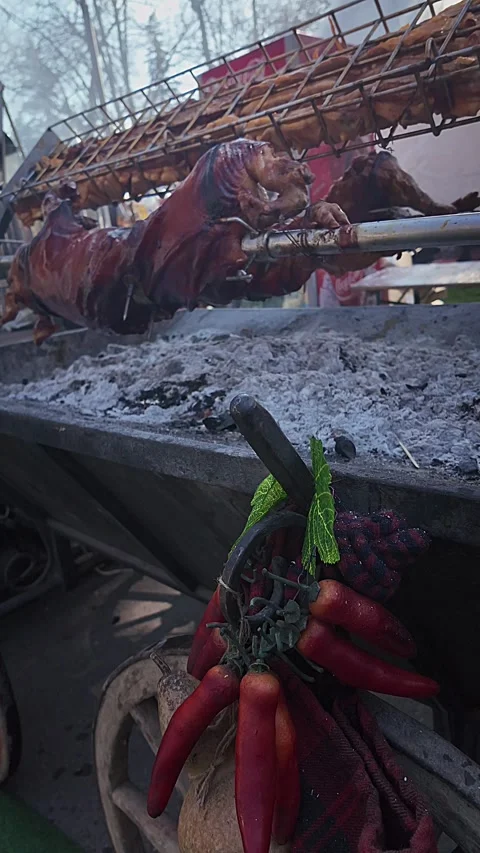 Vertical Low Angle Rotating Pig Spit Over Hot Coals 스톡 동영상 331447702